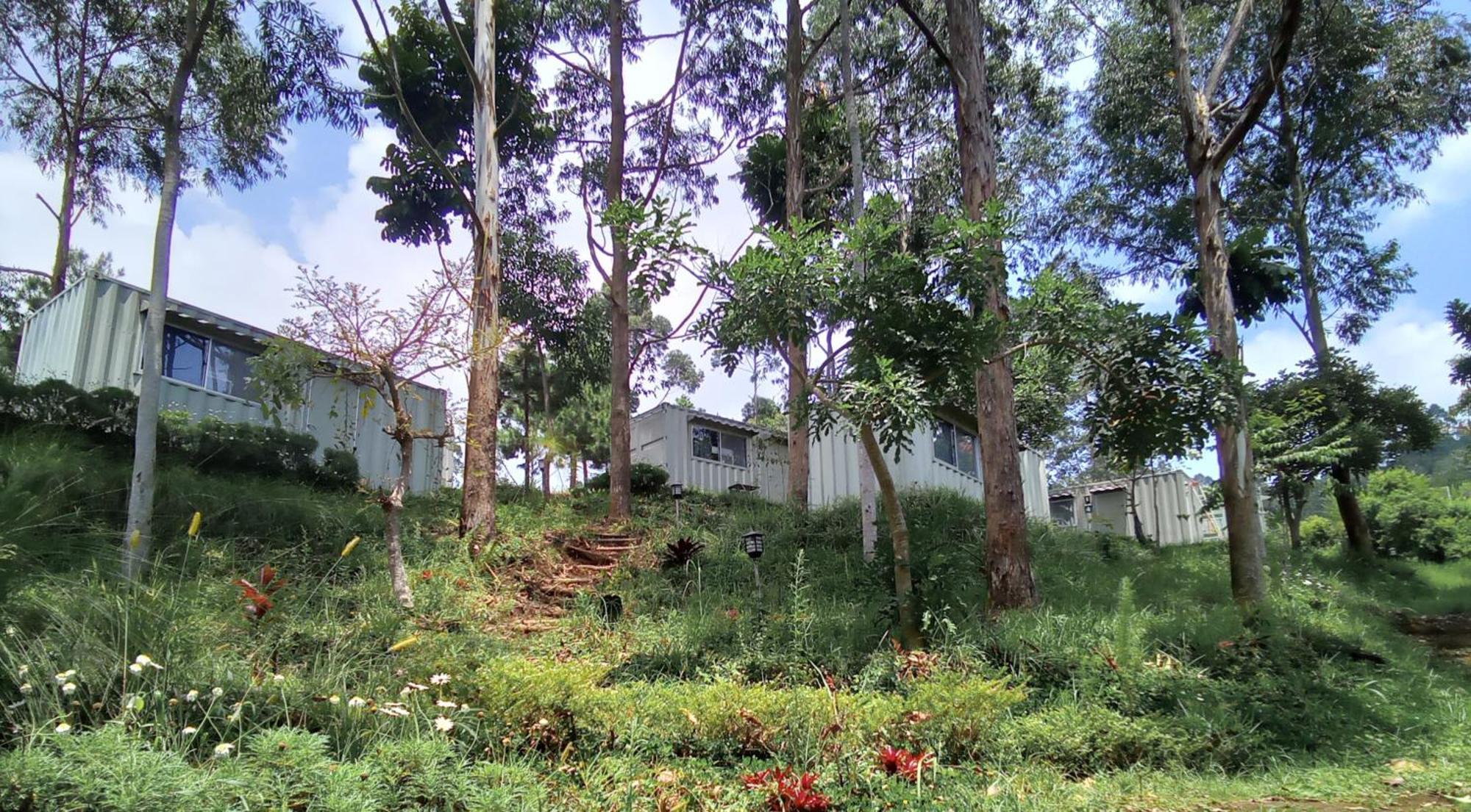 Hotel Bukit Pinus Tegalharendong Eksteriør billede